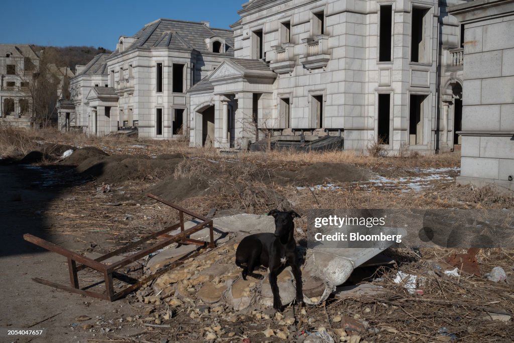 Abandoned Greenland Group Property In Shenyang