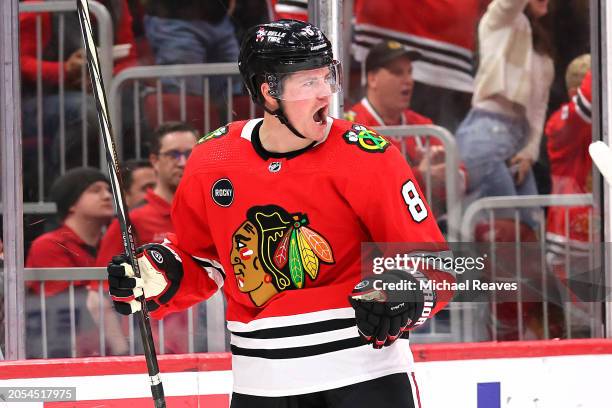 Ryan Donato of the Chicago Blackhawks celebrates after scoring a goal against the Columbus Blue Jackets during the third period at the United Center...