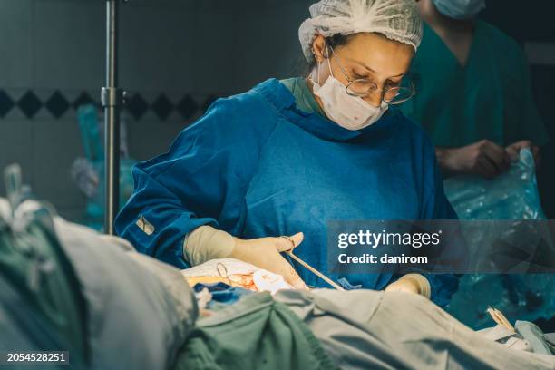 a young female surgeon with scissors in hand suturing a patient in the operating room. - suturing stock pictures, royalty-free photos & images