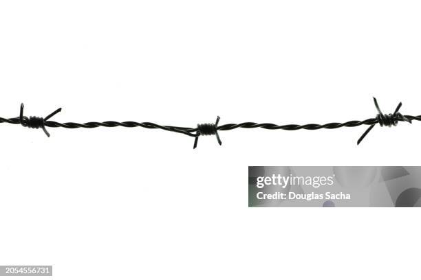 concertina wire on a fence - mesh fence stock pictures, royalty-free photos & images