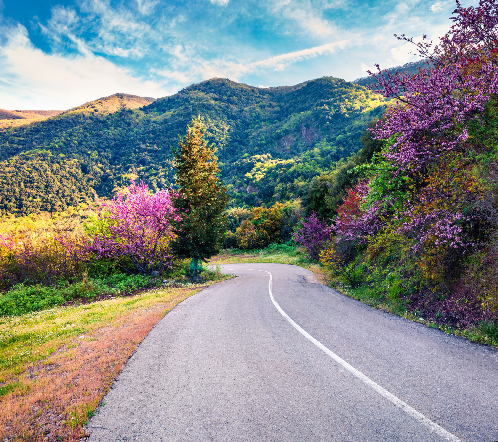 spring roads