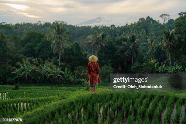 unrecognisable woman wearing kimono and straw conical hat walking on rice paddy - mt agung stock pictures, royalty-free photos & images