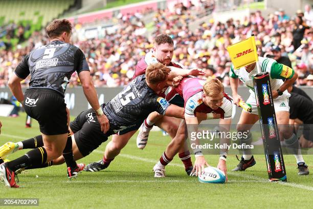 Tate McDermott of the Reds scores a try during the round two Super Rugby Pacific match between Hurricanes and Queensland Reds at AAMI Park, on March...