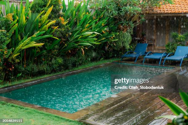Spring Rain Color Pool 16,249 Rain Pool Stock Photos, High-Res Pictures, and Images - Getty Images