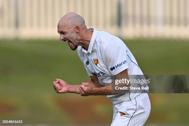 Gabe Bell of the Tigers celebrates the wicket of Campbell Kellaway of the Bushrangers during the Sheffield Shield match between Tasmania and Victoria...