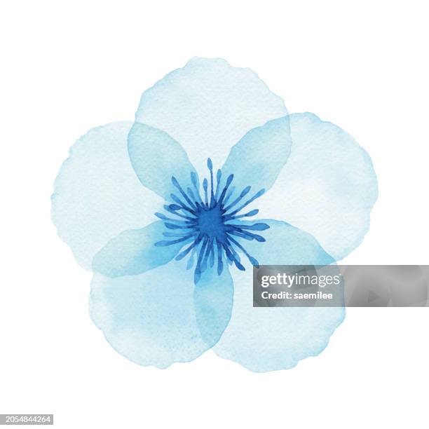 stockillustraties, clipart, cartoons en iconen met blue watercolor blossom - breeze