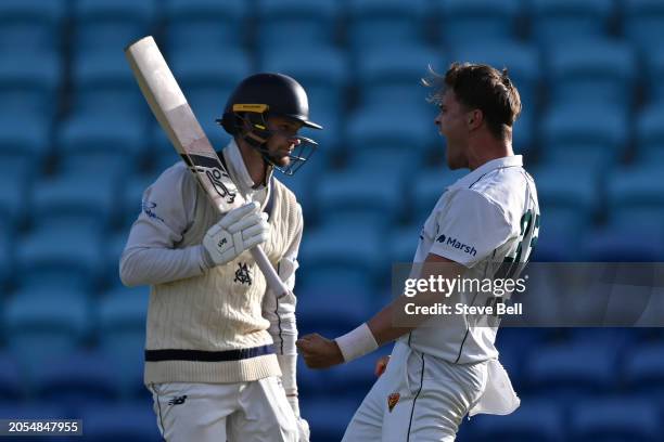 Iain Carlisle of the Tigers celebrates the wicket of Peter Handscomb ot during the Sheffield Shield match between Tasmania and Victoria at Blundstone...