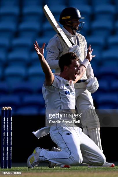 Iain Carlisle of the Tigers appeals during the Sheffield Shield match between Tasmania and Victoria at Blundstone Arena, on March 03 in Hobart,...