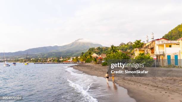 female tourists walking on shore at idyllic beach against sky during vacation - martinique beach stock pictures, royalty-free photos & images
