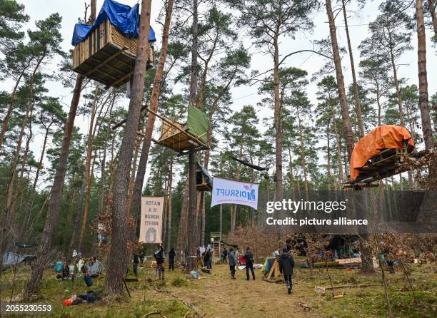 March 2024, Brandenburg, Grünheide: Tree houses of activists from the "Stop Tesla" initiative in a forest near the Tesla Gigafactory...