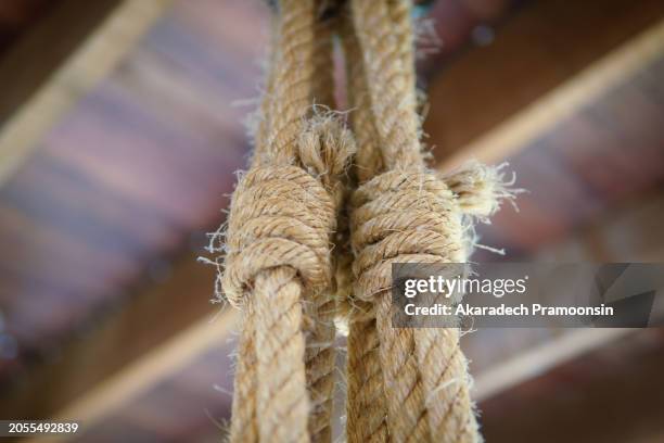 698 Thick Rope Stock Photos, High-Res Pictures, and Images - Getty