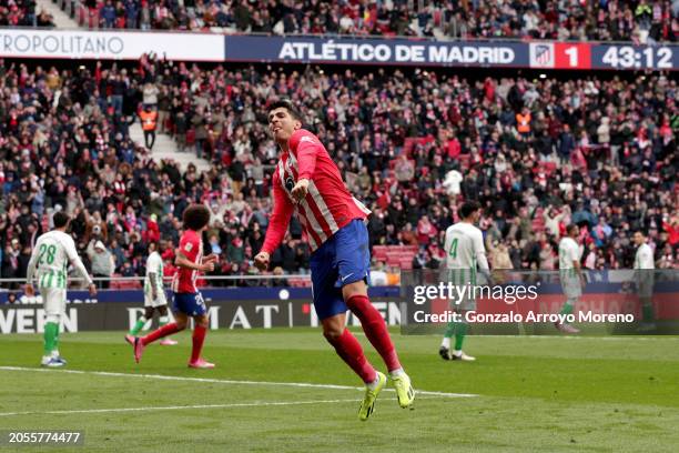 Alvaro Morata of Atletico Madrid celebrates scoring his team's second goal during the LaLiga EA Sports match between Atletico Madrid and Real Betis...