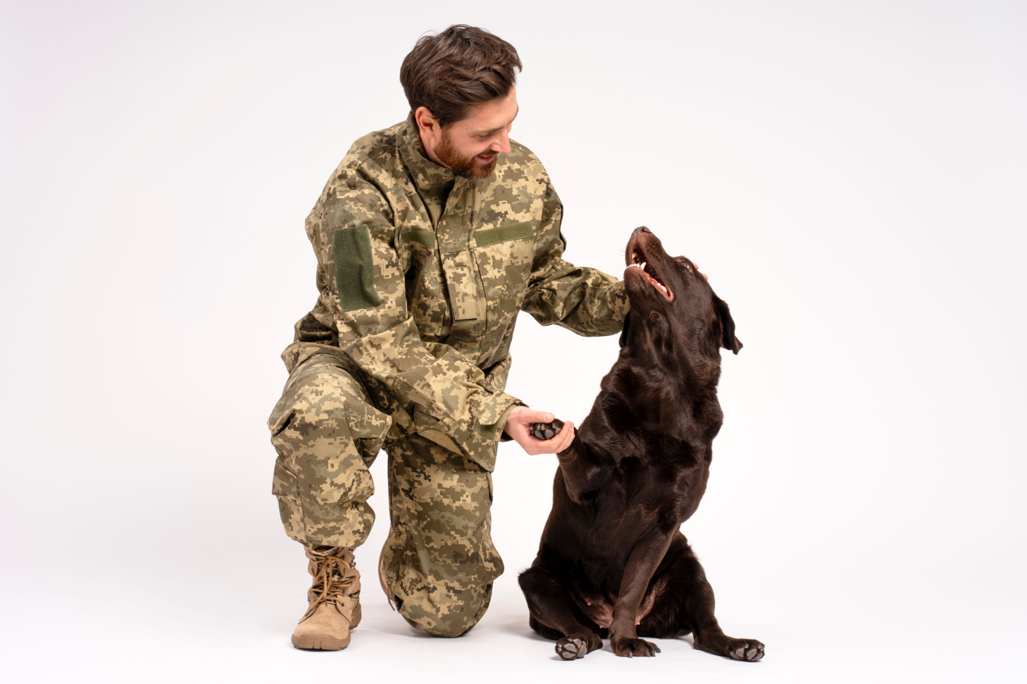 dog behaviorist