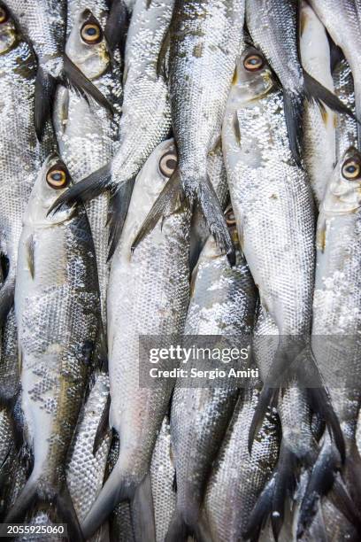 milkfish on display at fish market - fruits de mer photos et images de collection