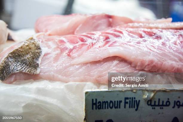 Fillet Hummer 87 Grouper Fish Fillet Stock Photos, High-Res Pictures, and Images ...