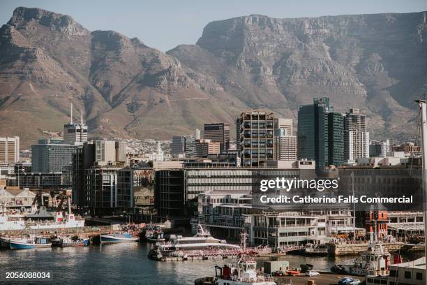 wide view of cape town harbour - cape town buildings stock pictures, royalty-free photos & images