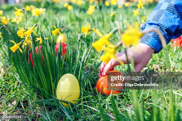 a child's hand reaching for hidden in a grass easter egg - easter egg hunt stock pictures, royalty-free photos & images