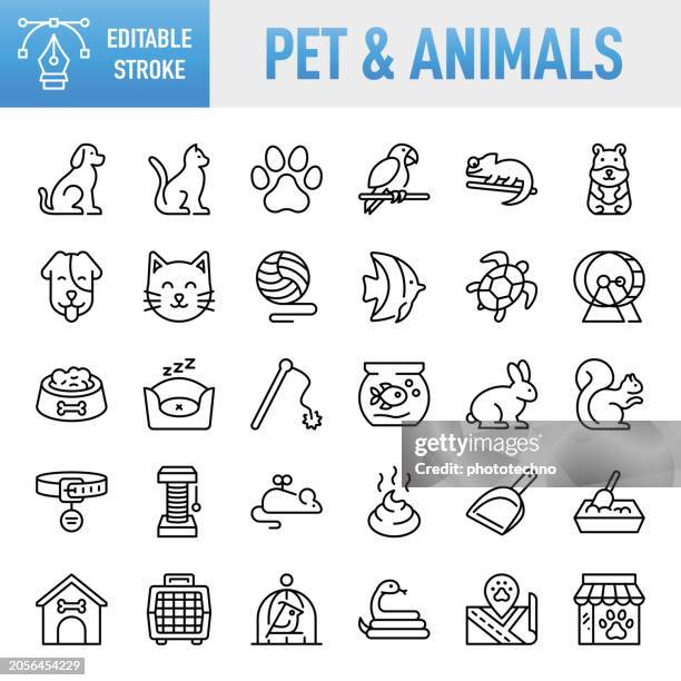 pet & animal - thin line vector icon set. pixel perfect. editable stroke. for mobile and web. the set contains icons: pets, petting, dog, domestic cat, animal themes, animal, rabbit - animal, pet food, fish, bone, animal head, pet equipment - pet shop stock illustrations