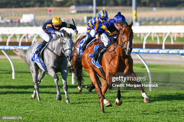 The Octopus ridden by Jake Noonan wins the Magic Millions Adelaide Yearling Sale Maiden Plate at Sportsbet Pakenham on March 07, 2024 in Pakenham,...