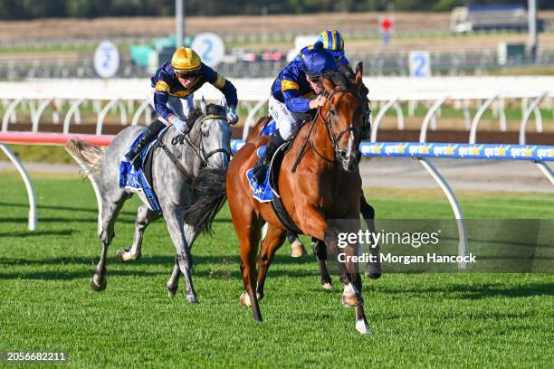 The Octopus ridden by Jake Noonan wins the Magic Millions Adelaide Yearling Sale Maiden Plate at Sportsbet Pakenham on March 07, 2024 in Pakenham,...