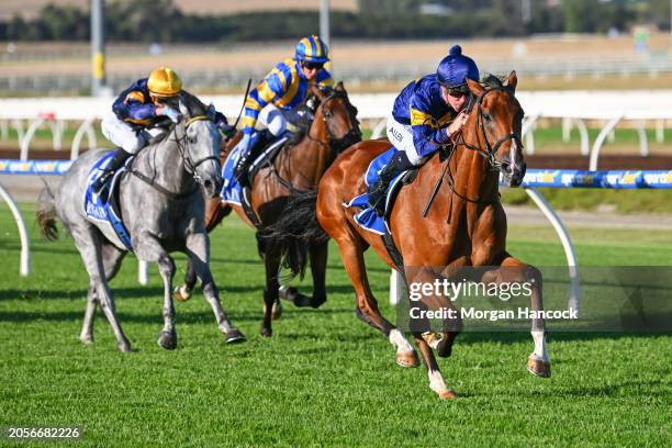 The Octopus ridden by Jake Noonan wins the Magic Millions Adelaide Yearling Sale Maiden Plate at Sportsbet Pakenham on March 07, 2024 in Pakenham,...