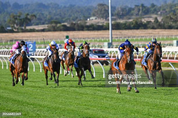 The Octopus ridden by Jake Noonan wins the Magic Millions Adelaide Yearling Sale Maiden Plate at Sportsbet Pakenham on March 07, 2024 in Pakenham,...