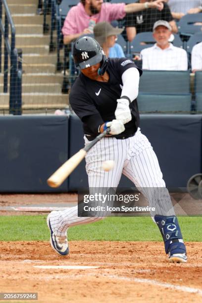 New York Yankees catcher Carlos Narvaez hits a home run against the Tampa Bay Rays during Spring Training on March 6 at George M. Steinbrenner Field...