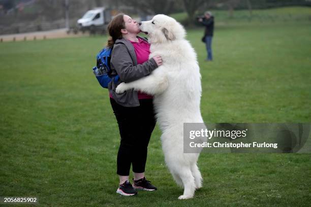 Hope, Pyrenean mountain dog and owner Claire Church arrive on the first day of CRUFTS Dog Show at NEC Arena on March 7, 2024 in Birmingham, England....