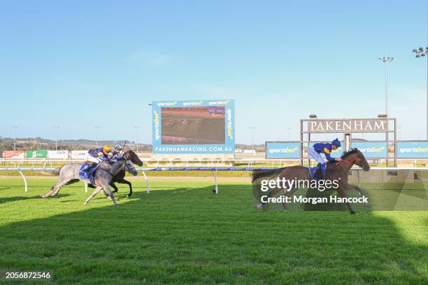 Divus Romulus ridden by John Allen wins the Magic Millions Adelaide Yearling Sale Maiden Plate at Sportsbet Pakenham on March 07, 2024 in Pakenham,...