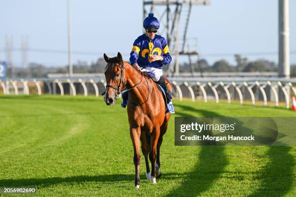 John Allen returns to the mounting yard on Divus Romulus after winning the Magic Millions Adelaide Yearling Sale Maiden Plate, at Sportsbet Pakenham...