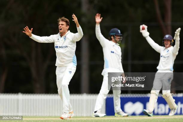 Chris Green of New South Wales appeals during the Sheffield Shield match between New South Wales and South Australia at Cricket Central, on March 04...