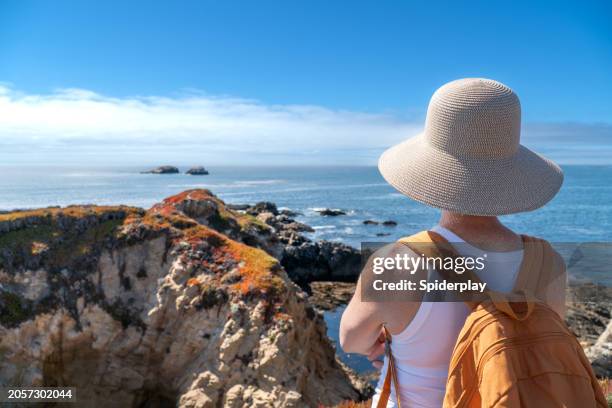 woman looking out at the rocky coast of point lobos, big sur, california. - carmel california stock pictures, royalty-free photos & images