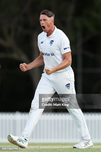 Chris Tremain of New South Wales celebrates taking the wicket of Nathan McSweeney of South Australia during the Sheffield Shield match between New...