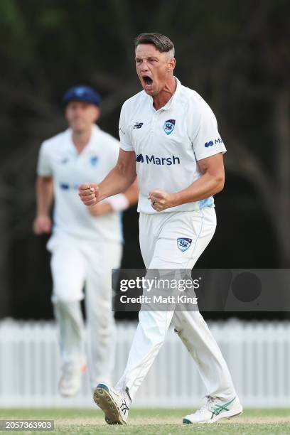 Chris Tremain of New South Wales celebrates taking the wicket of Nathan McSweeney of South Australia during the Sheffield Shield match between New...