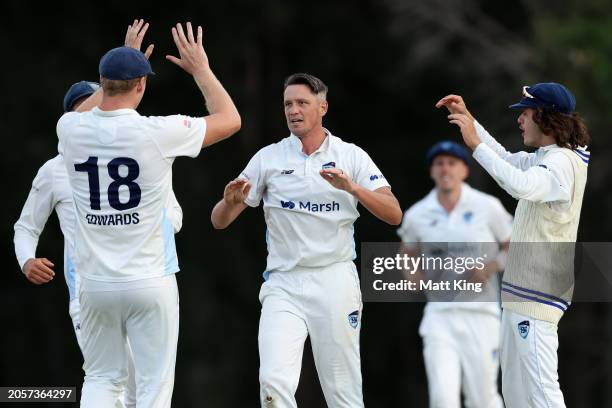 Chris Tremain of New South Wales celebrates with team mates after taking the wicket of Nathan McSweeney of South Australia during the Sheffield...