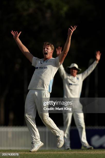 Jack Edwards of New South Wales appeals during the Sheffield Shield match between New South Wales and South Australia at Cricket Central, on March 04...