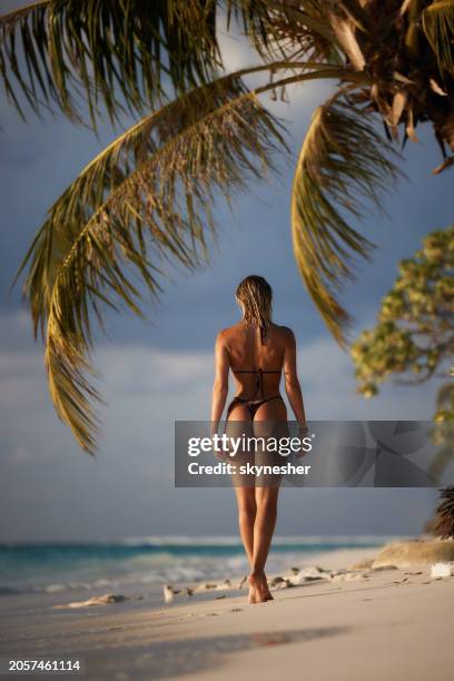back view of carefree woman taking a summer walk on the beach. - string stockfoto's en -beelden