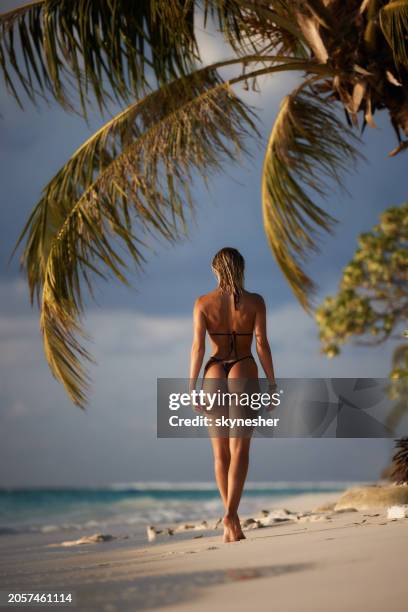 back view of carefree woman taking a summer walk on the beach. - meeru island stockfoto's en -beelden