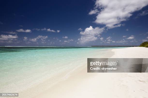 beautiful view of the beach on maldives in summer day. - meeru island stockfoto's en -beelden