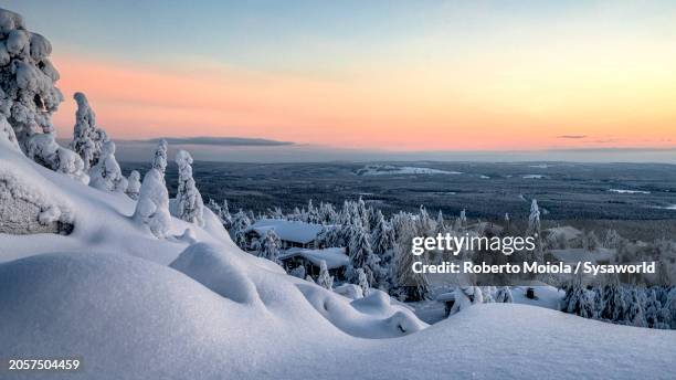 snowy cottages in a frozen forest at dawn - neige photos et images de collection