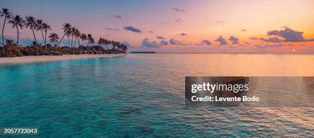 best most exotic travel landscape. majestic sunset beach. coconut palm tree silhouettes, fantastic colorful sky clouds. closeup waves sand. stunning tropical nature scene, panoramic island paradise - lagon photos et images de collection