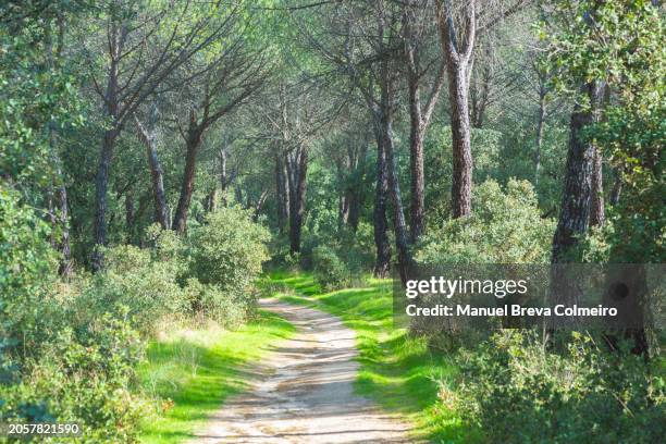 76 Spring Gully Conservation Park Stock Photos, High-Res Pictures, and ...