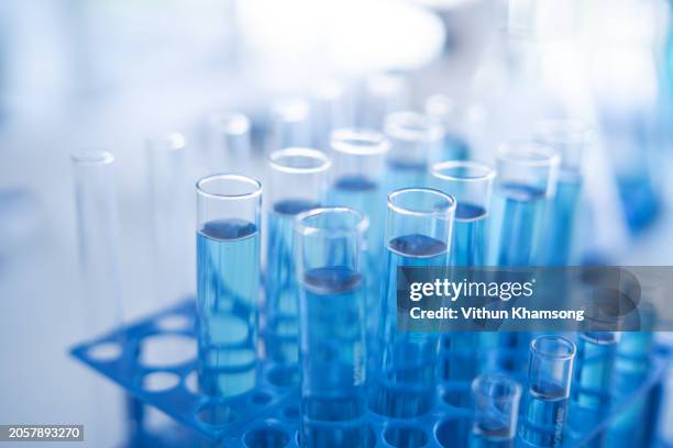 science laboratory test tubes row with light blue liquid close-up - biotecnologia foto e immagini stock