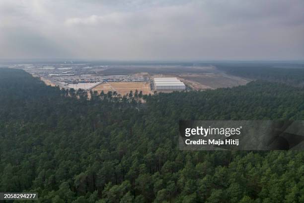 In this aerial view, forest next to the nearby Tesla Gigafactory electric car factory, seen in the background, on March 04, 2024 near Gruenheide,...