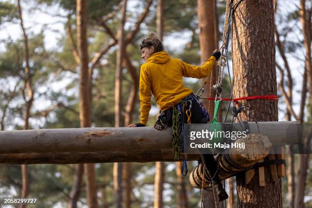 An activist from the environmental action group "Robin Wood" builds a tree house in an effort to prevent expansion of the nearby Tesla Gigafactory...