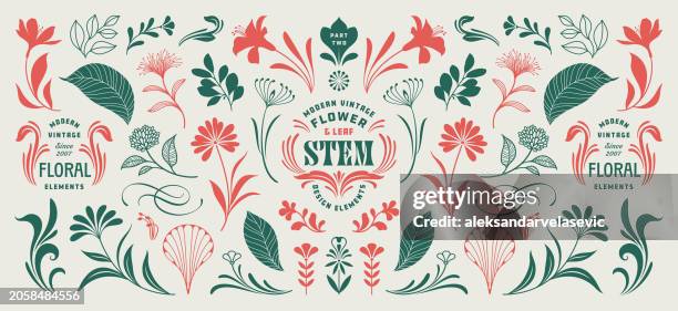 ilustrações de stock, clip art, desenhos animados e ícones de floral design elements - padrão floral