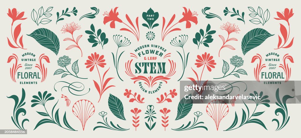 Floral Design Elements