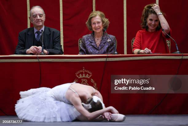 Queen Sofia attends the "Iberoamerican Patronage Awards" by the Callia Foundation 2024 at Real Academia de Bellas Artes on March 04, 2024 in Madrid,...
