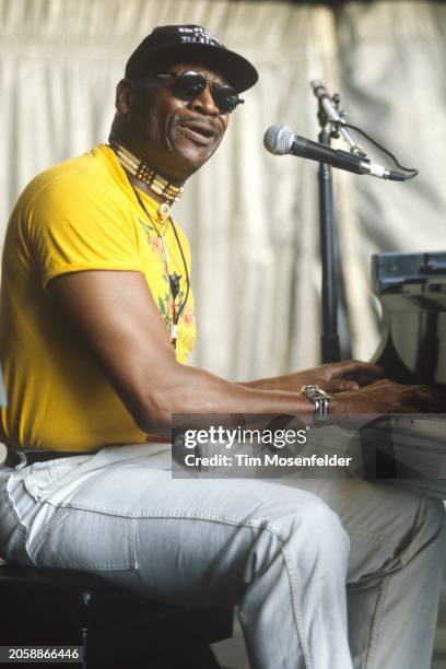 Taj Mahal performs during New Orleans by the Bay at Shoreline Amphitheatre on June 16, 1995 in Mountain View, California.