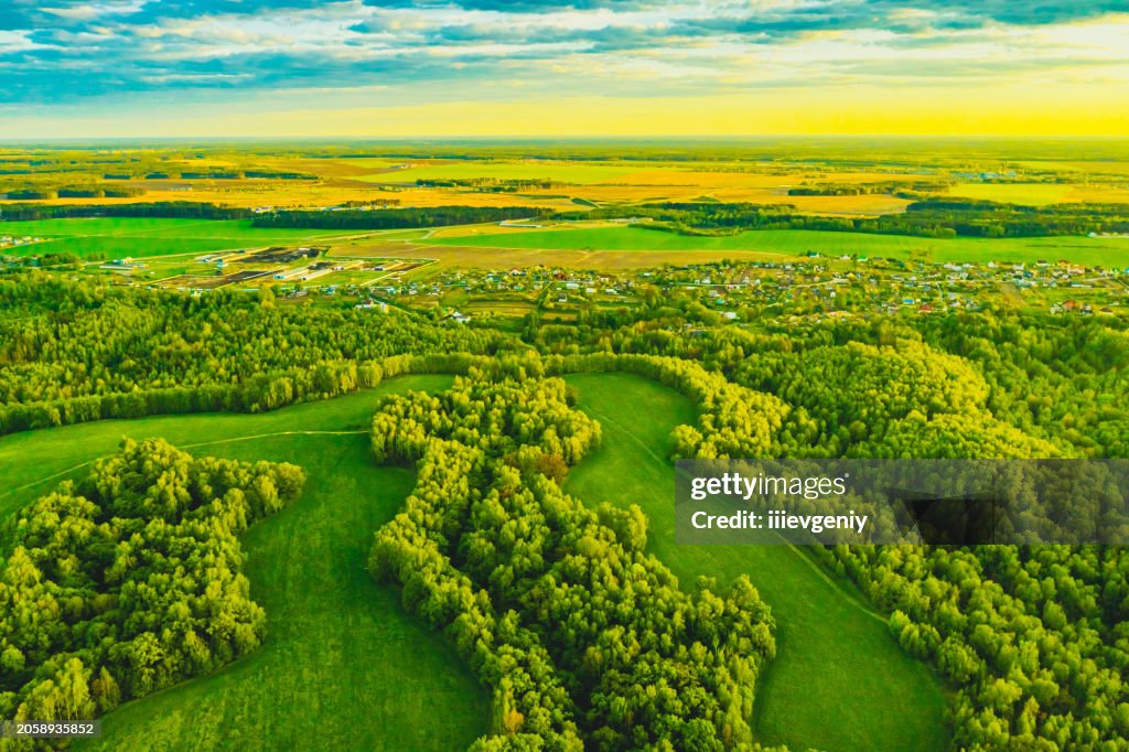 Drohnenfotografie im Wald. Nachhaltigkeit. Landschaft aus der Luft. Naturschutz. Grüne Wirtschaft